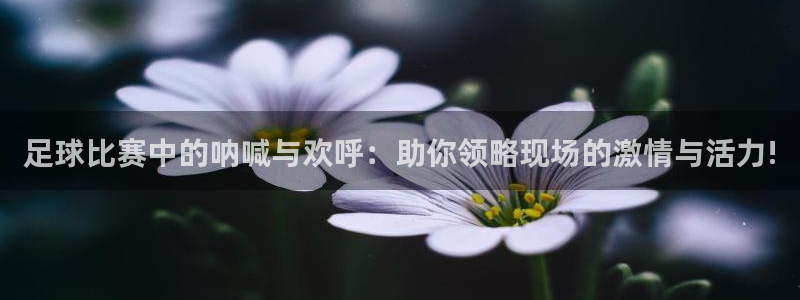 足球比赛中的呐喊与欢呼：助你领略现场的激情与活力!