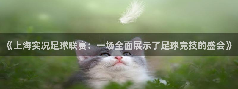 《上海实况足球联赛：一场全面展示了足球竞技的盛会》