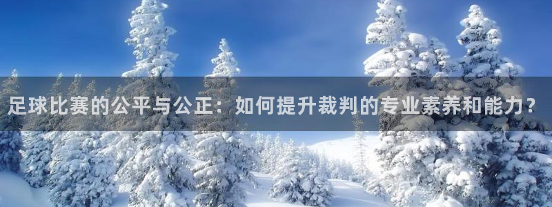  足球比赛的公平与公正：如何提升裁判的专业素养和能力？
