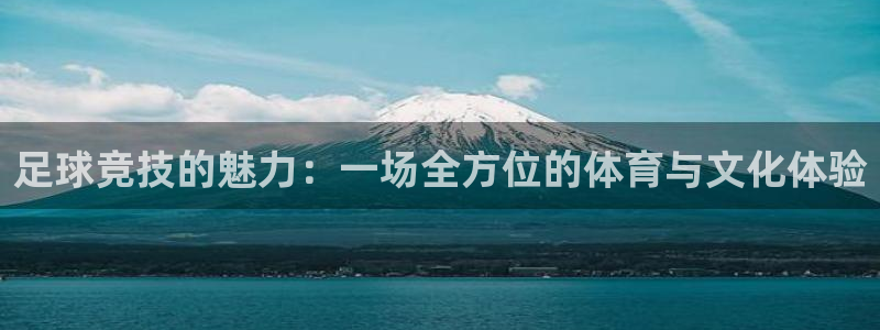  足球竞技的魅力：一场全方位的体育与文化体验