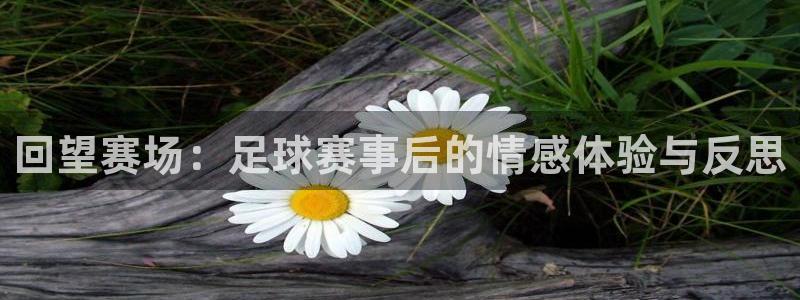  回望赛场：足球赛事后的情感体验与反思