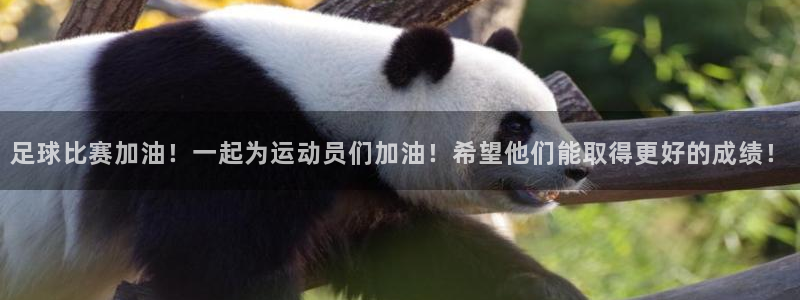  足球比赛加油！一起为运动员们加油！希望他们能取得更好的成绩！