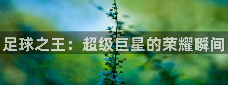 足球之王：超级巨星的荣耀瞬间