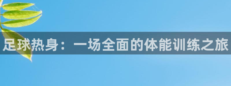 足球热身：一场全面的体能训练之旅