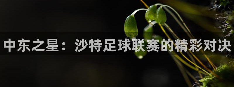 中东之星：沙特足球联赛的精彩对决