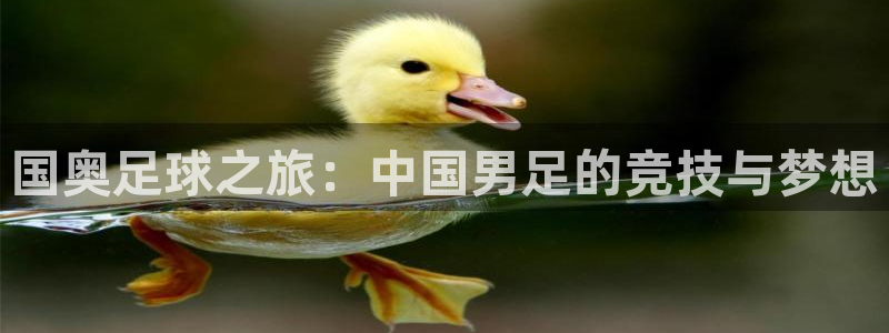 国奥足球之旅：中国男足的竞技与梦想