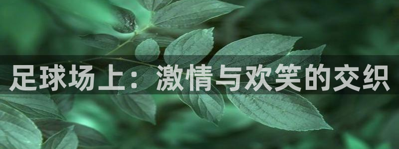  足球场上：激情与欢笑的交织