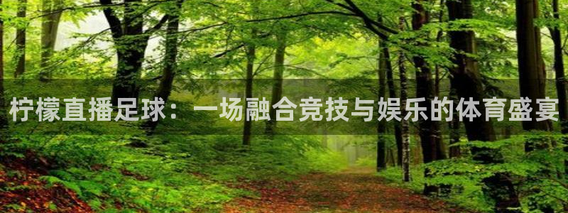 so米足球直播体育：柠檬直播足球：一场融合竞技与娱乐的体育盛宴