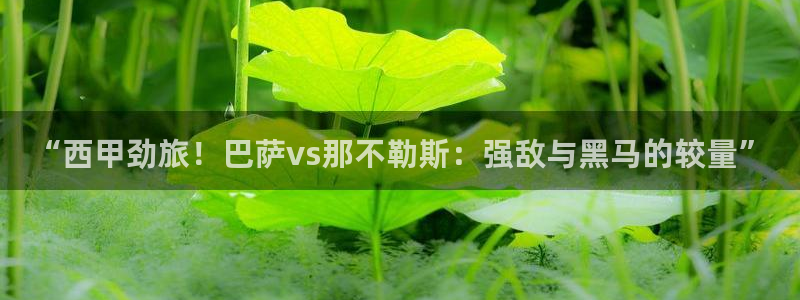 so米体育直播篮球：“西甲劲旅！巴萨vs那不勒斯：强敌与黑马的较量”