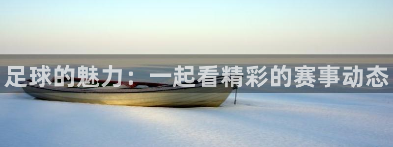 足球的魅力：一起看精彩的赛事动态