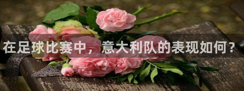 在足球比赛中，意大利队的表现如何？