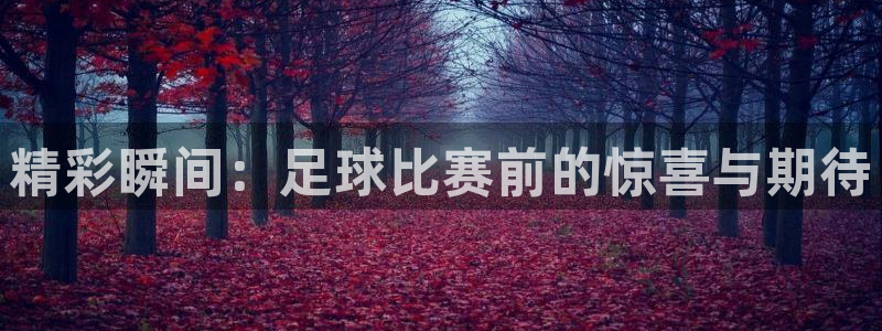 精彩瞬间：足球比赛前的惊喜与期待
