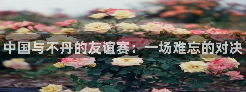 中国与不丹的友谊赛：一场难忘的对决