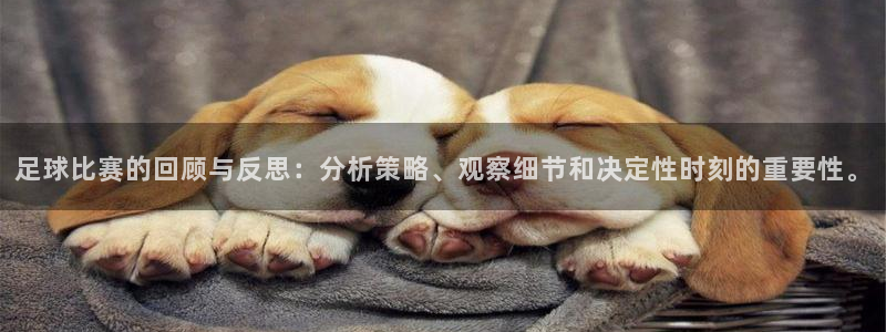 足球比赛的回顾与反思：分析策略、观察
