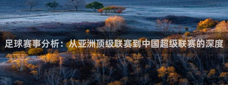  足球赛事分析：从亚洲顶级联赛到中国超级联赛的深度