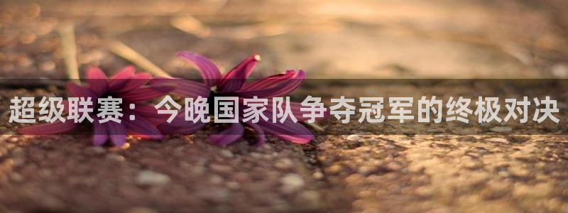  超级联赛：今晚国家队争夺冠军的终极对决