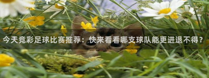 今天竞彩足球比赛推荐：快来看看哪支球队能更进退不得？
