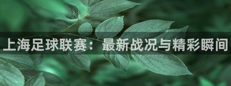  上海足球联赛：最新战况与精彩瞬间