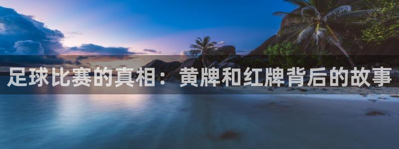  足球比赛的真相：黄牌和红牌背后的故事