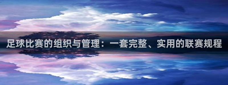  足球比赛的组织与管理：一套完整、实用的联赛规程