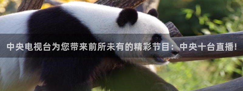 so米体育在线直播：中央电视台为您带来前所未有的精彩节目：中央十台直播!