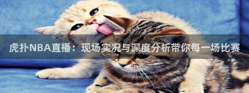 so米体育篮球直播在线观看：虎扑NBA直播：现场实况与深度分析带你每一场比赛