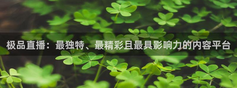 nba直播so米：极品直播：最独特、最精彩且最具影响力的内容平台