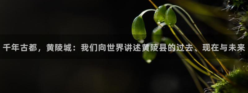 搜米so米体育：千年古都，黄陵城：我们向世界讲述黄陵县的过去、现在与未来