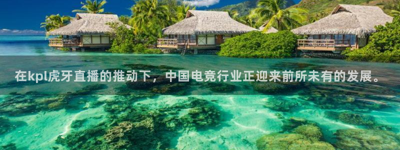 so米体育赛事直播：在kpl虎牙直播的推动下，中国电竞行业正迎来前所未有的发展。