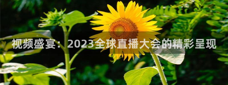 nba直播so米：视频盛宴：2023全球直播大会的精彩呈现