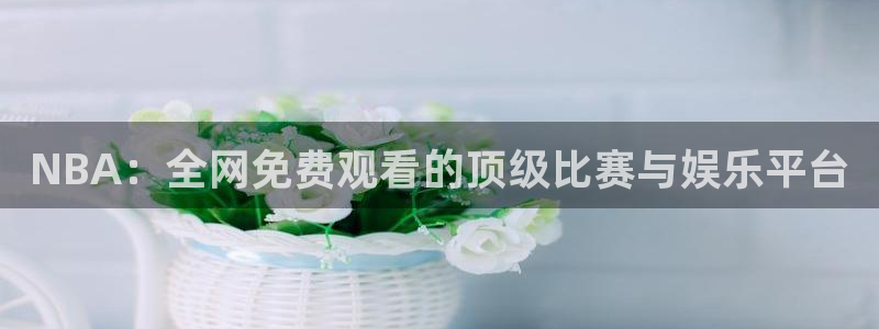 so米体育在线观看直播：NBA：全网免费观看的顶级比赛与娱乐平台