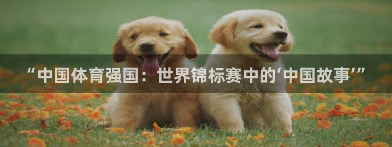 搜米so米体育直播nba赛事：“中国体育强国：世界锦标赛中的‘中国故事’”