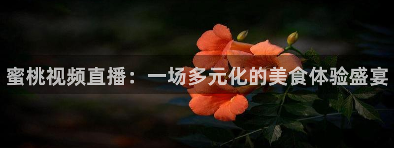 so米体育平台直播：蜜桃视频直播：一场多元化的美食体验盛宴