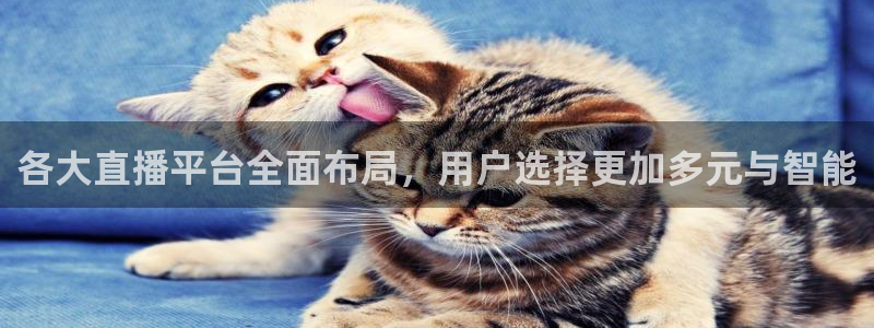 so米直播篮球在线直播：各大直播平台全面布局，用户选择更加多元与智能